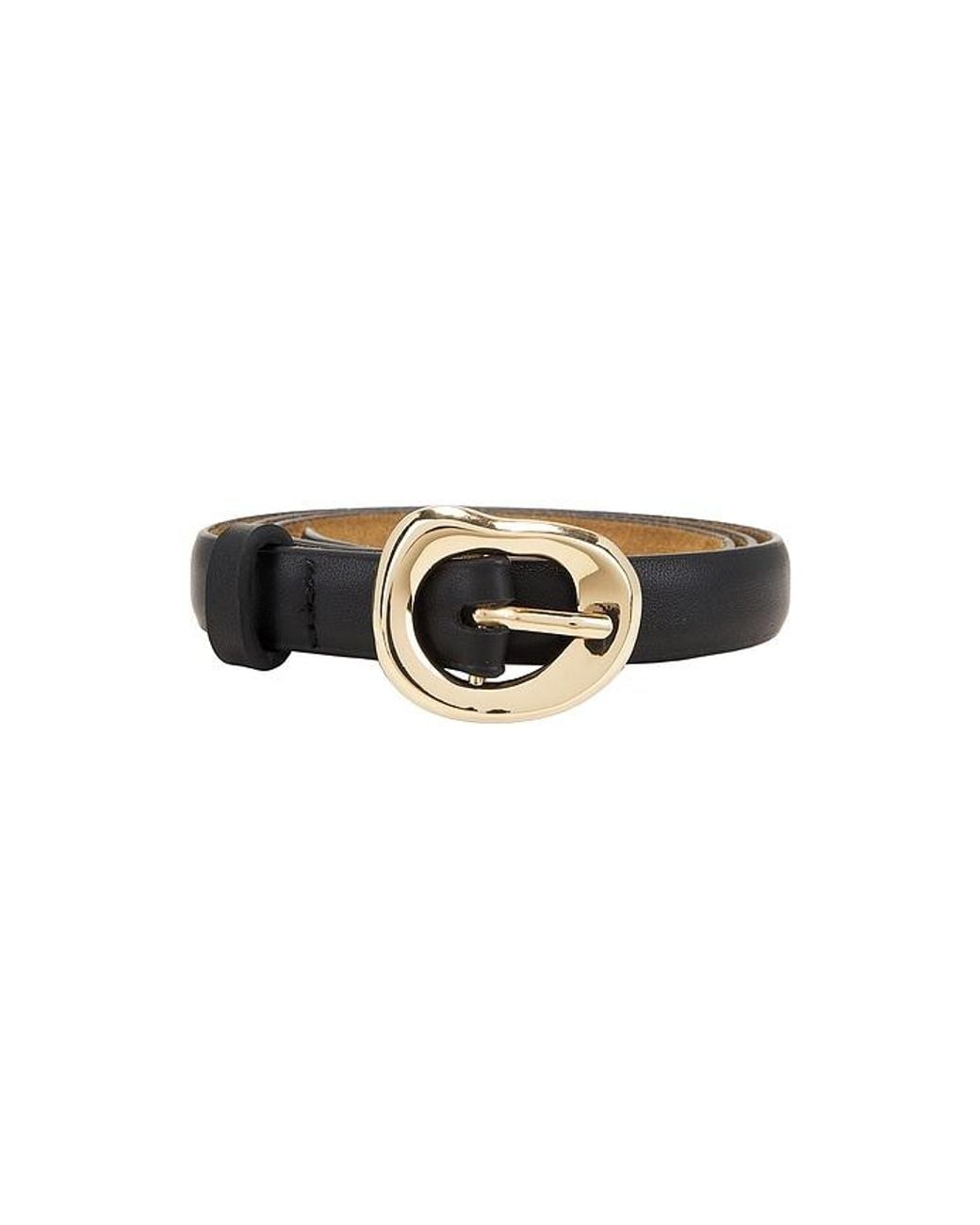 L'academie Black Nova Belt