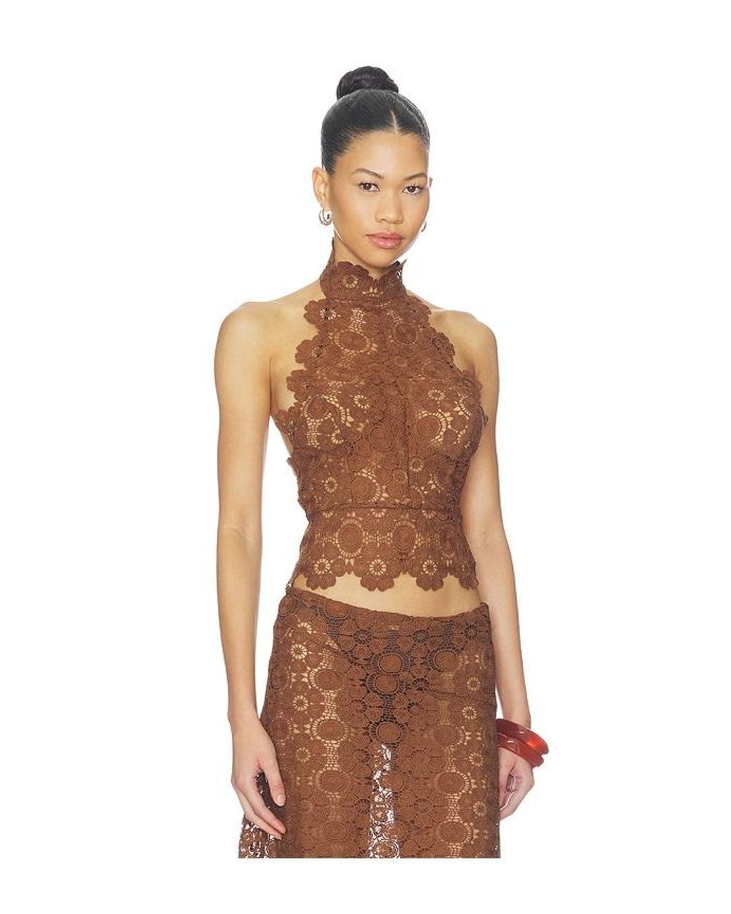 Lioness Brown Trophy Halter