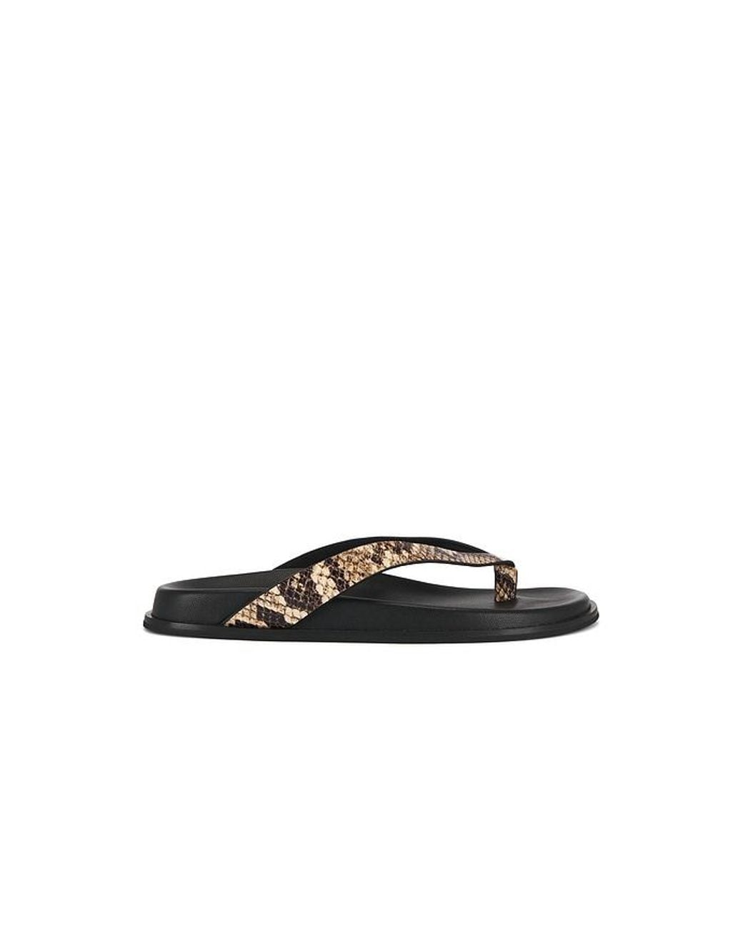 PAIGE Black Zadie Sandal