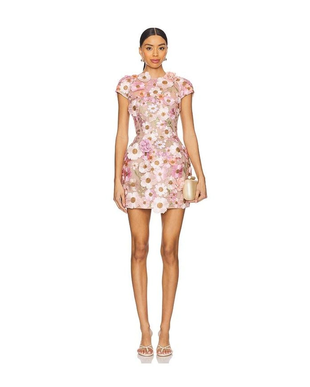 Bronx and Banco Multicolor Jasmine Mini Dress