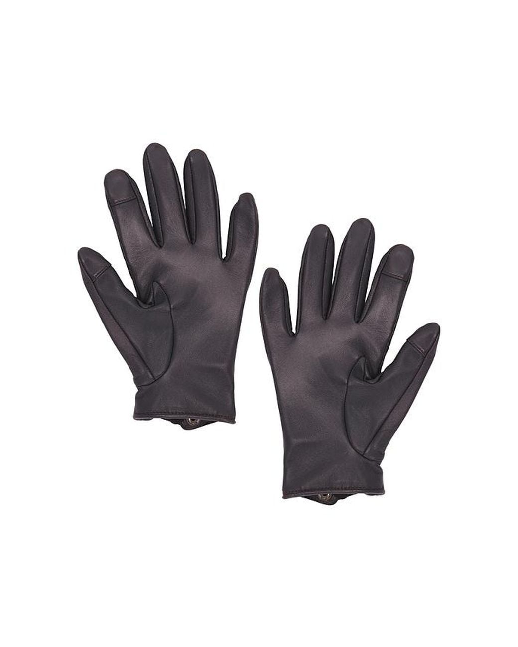 FAVORITE DAUGHTER Black The Driver Gloves