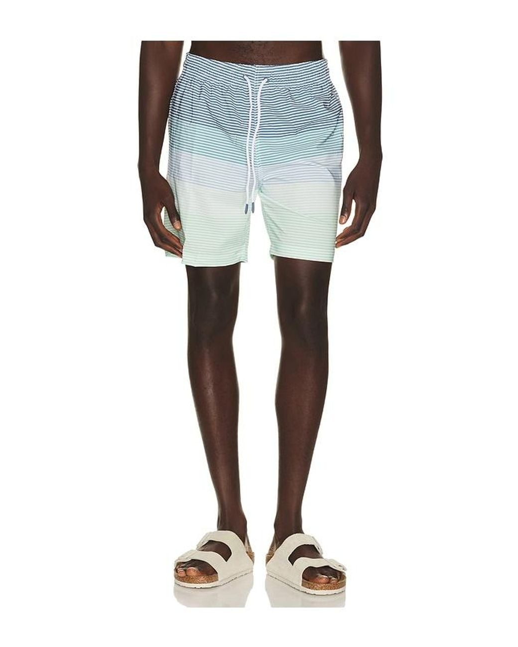 Trunks Surf & Swim Blue Sano 6.5 Swim Short for men