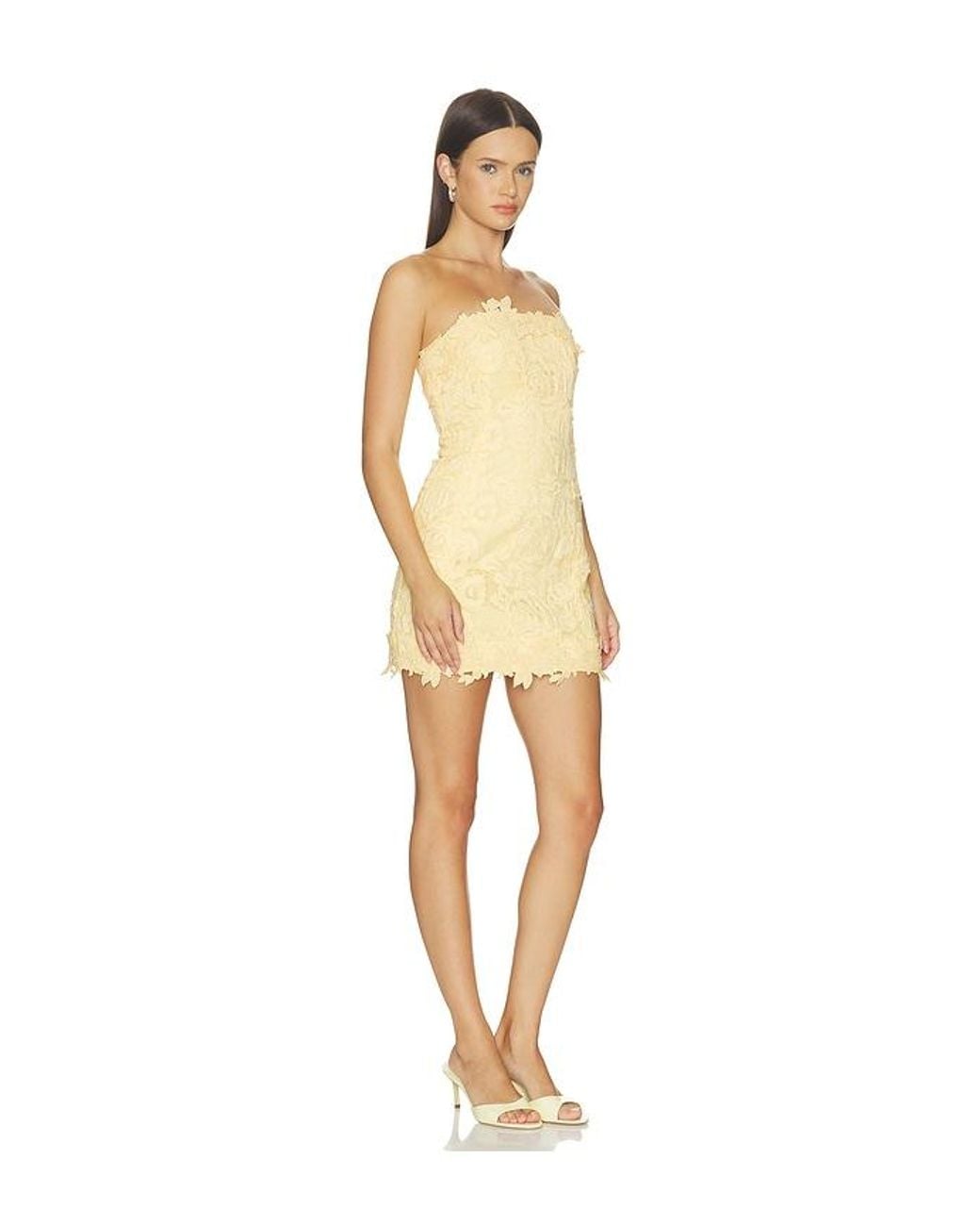 Lovers + Friends Natural Edith Mini Dress
