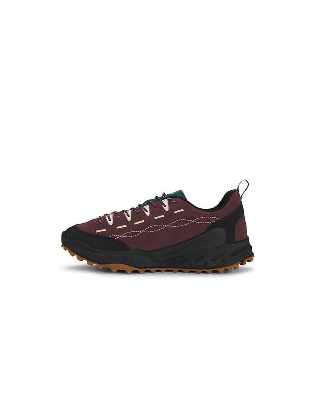Keen Brown Jasper Zionic for men