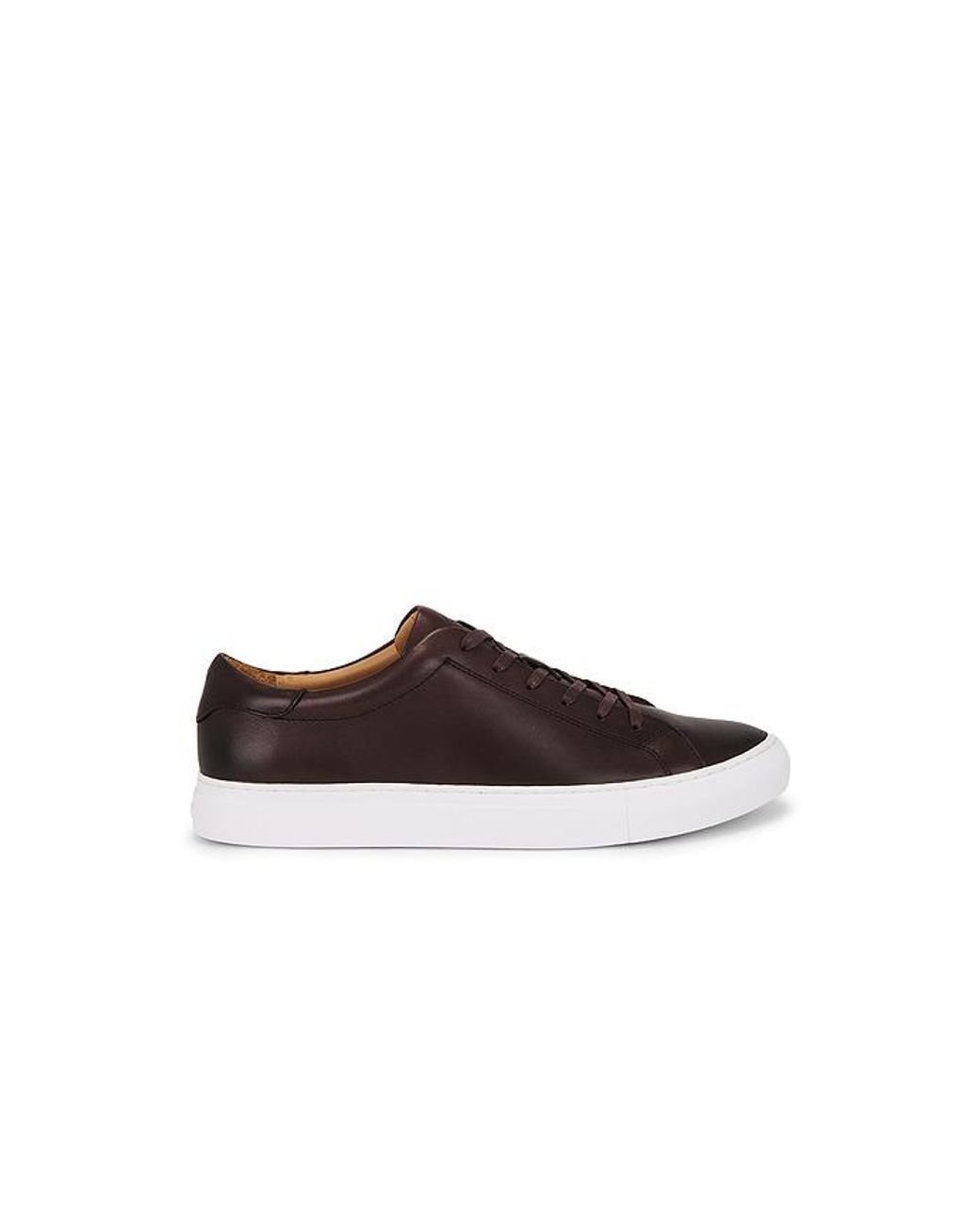Polo Ralph Lauren Multicolor Jermain Ii Sneaker for men