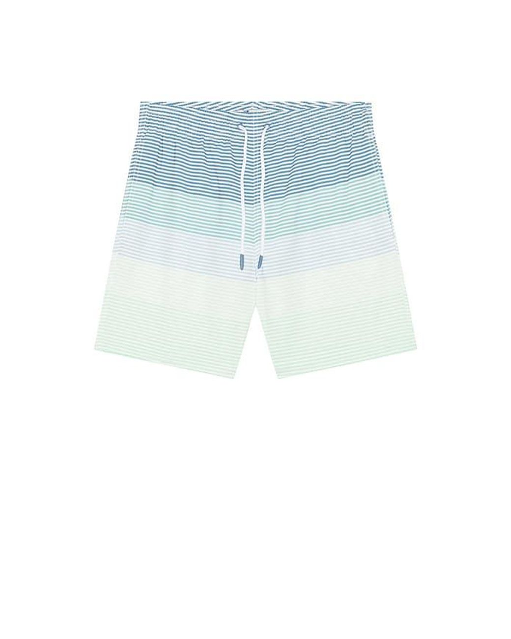 Trunks Surf & Swim Blue Sano 6.5 Swim Short for men