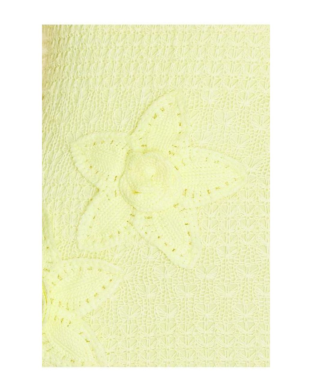 Tiger Mist Yellow Crochet Mini Dress