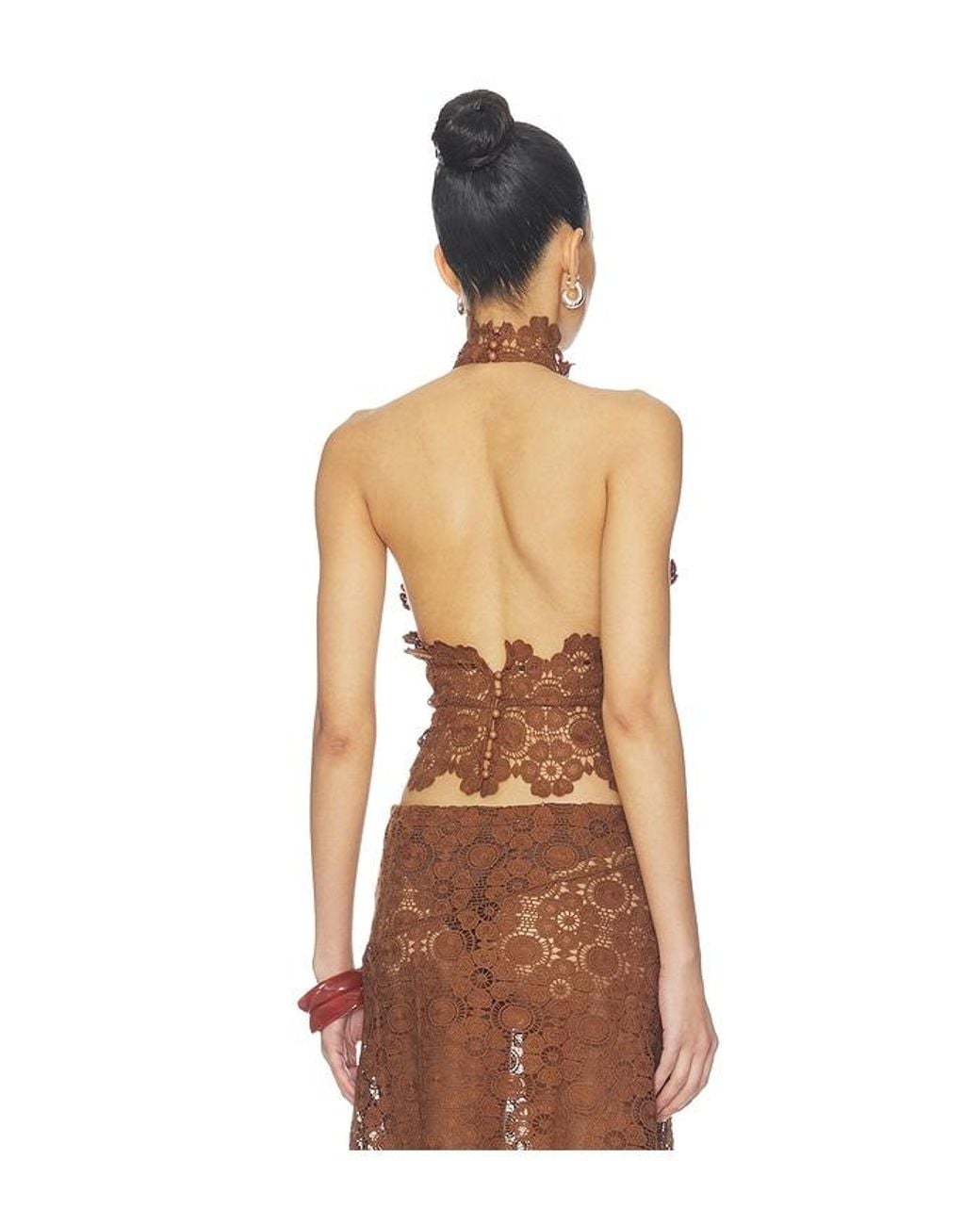 Lioness Brown Trophy Halter