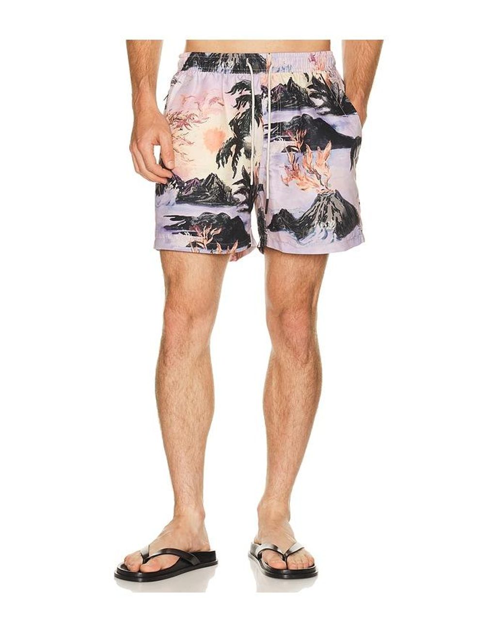Oas Purple Regalia Swim Shorts for men