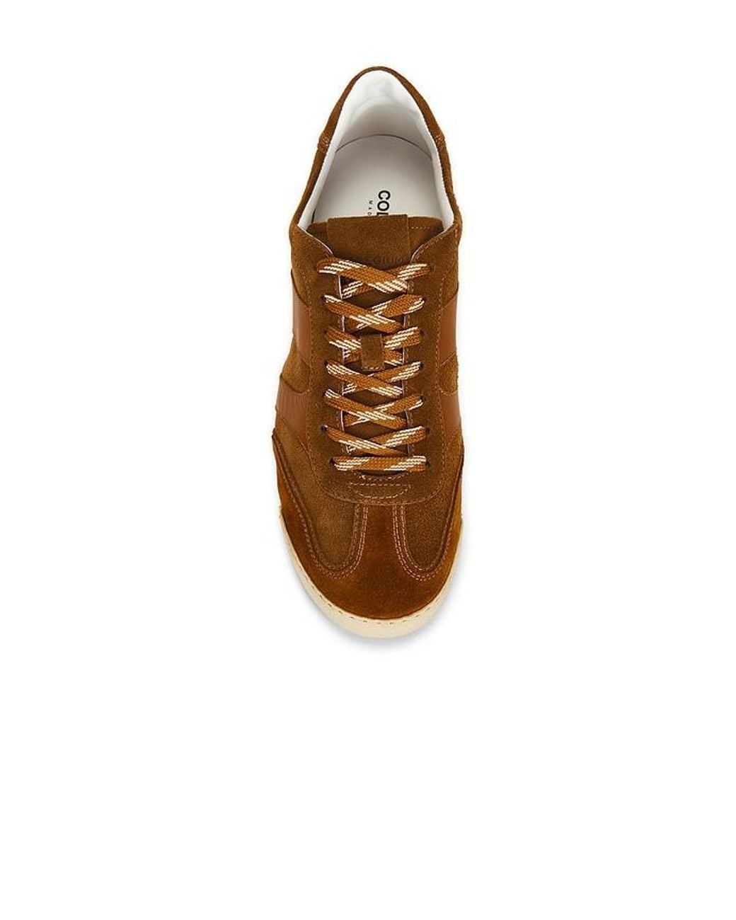 Collegium Brown Pillar Pista for men