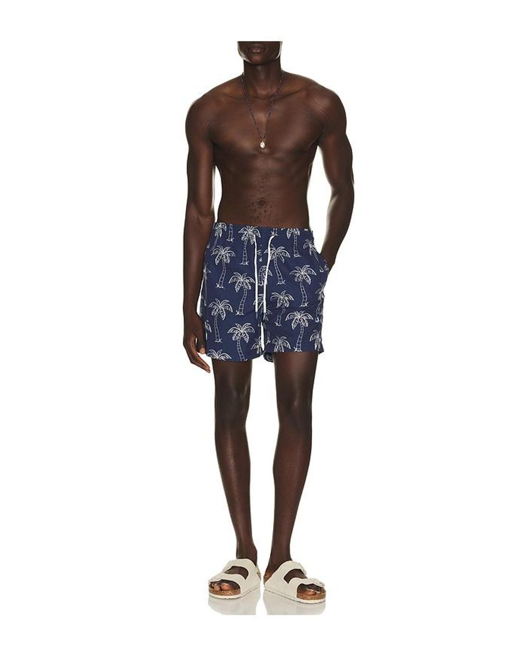 Trunks Surf & Swim Blue Sano 6.5 Swim Short for men