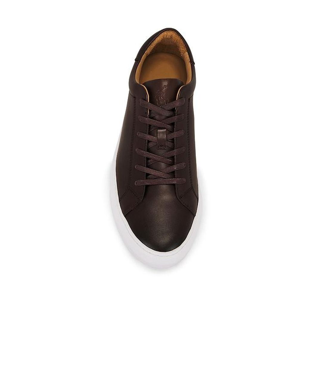 Polo Ralph Lauren Multicolor Jermain Ii Sneaker for men