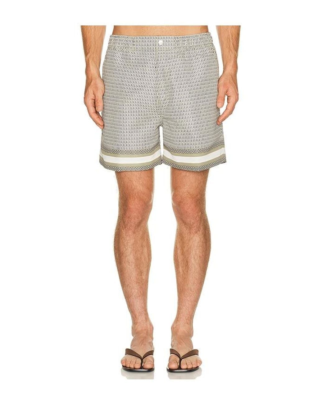 CHE Gray Berkeley Border Printed Swim Short for men