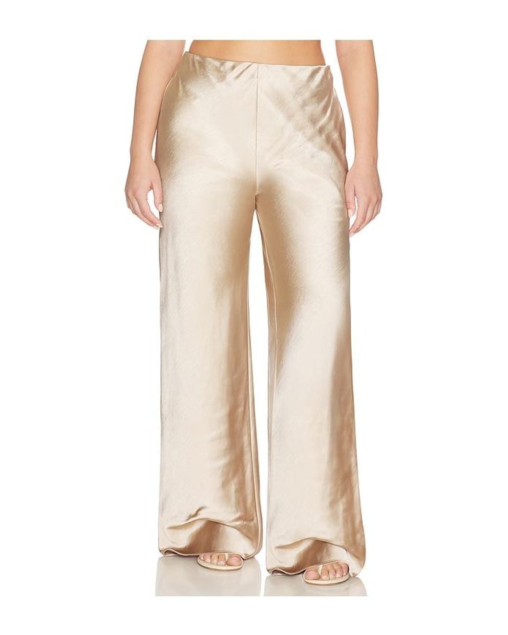 L'academie Natural Etienne Pant