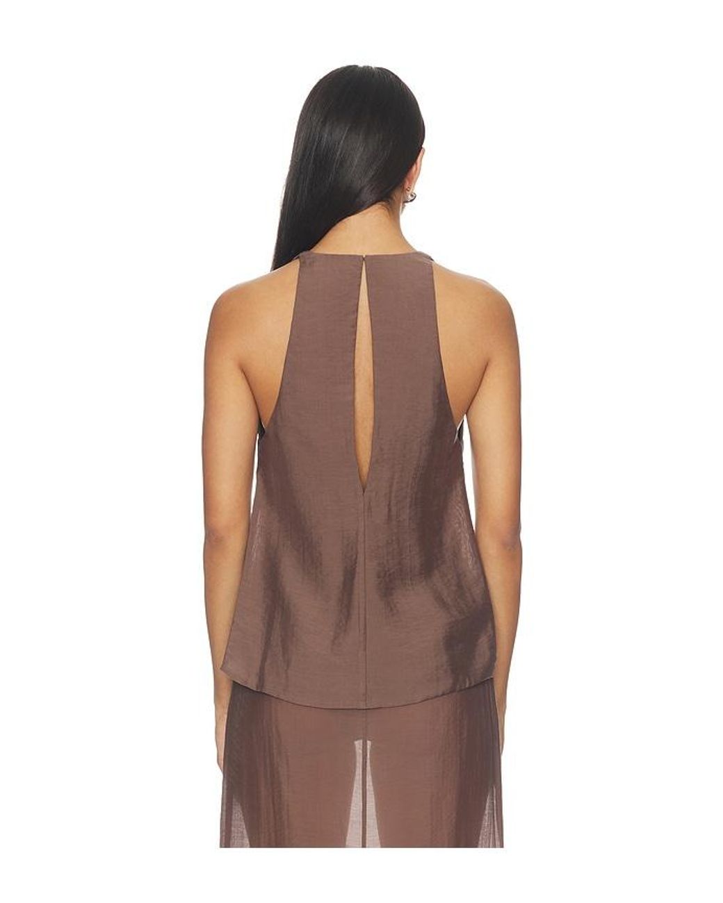 L'academie Brown 'Academie Cecille Top