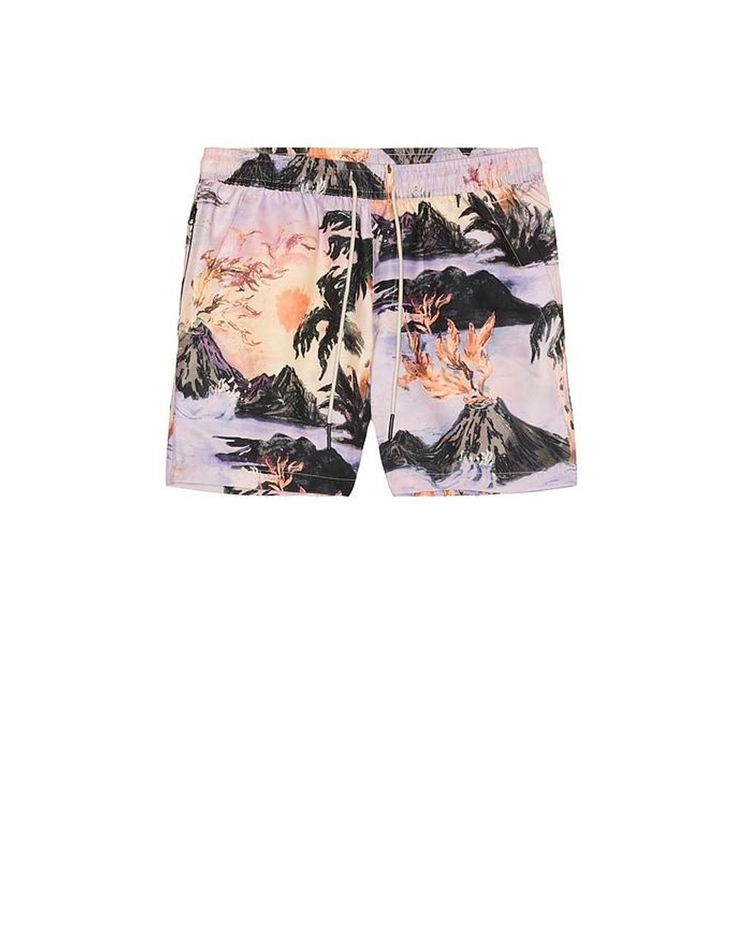 Oas Purple Regalia Swim Shorts for men