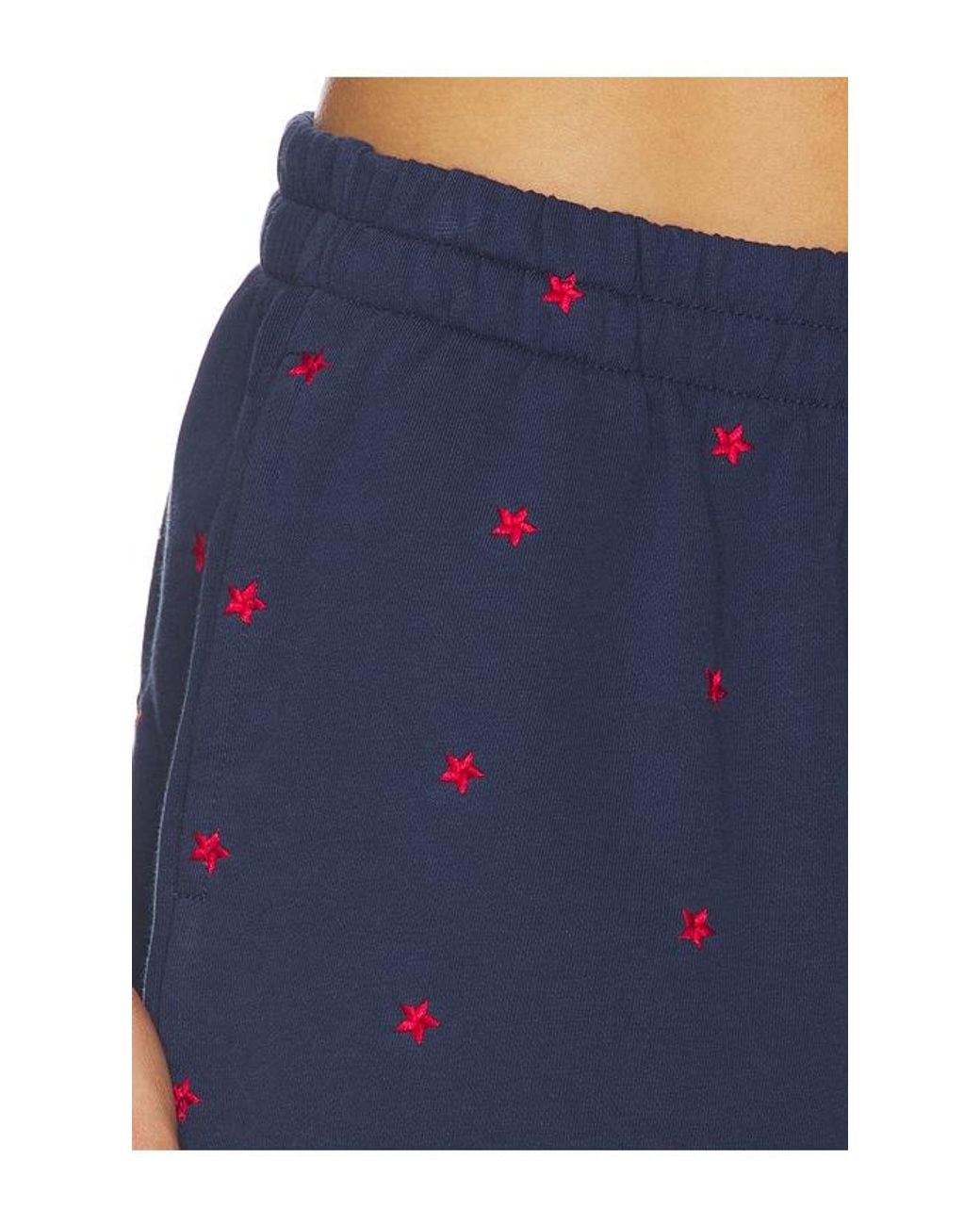 Beach Riot Blue Malik Short