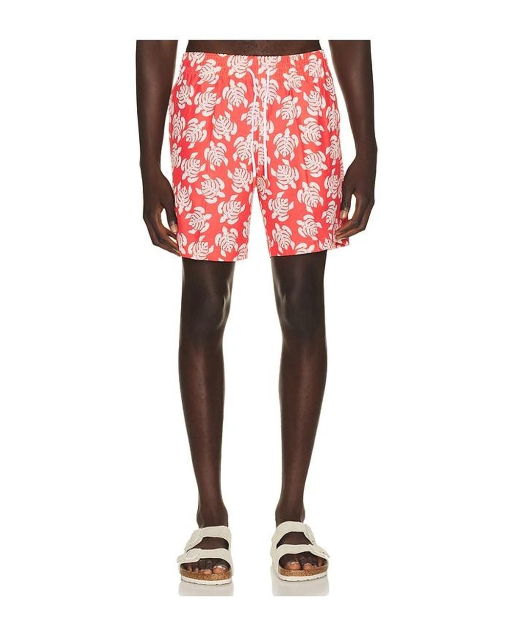 Trunks Surf & Swim Red Sano 6.5 Swim Short for men
