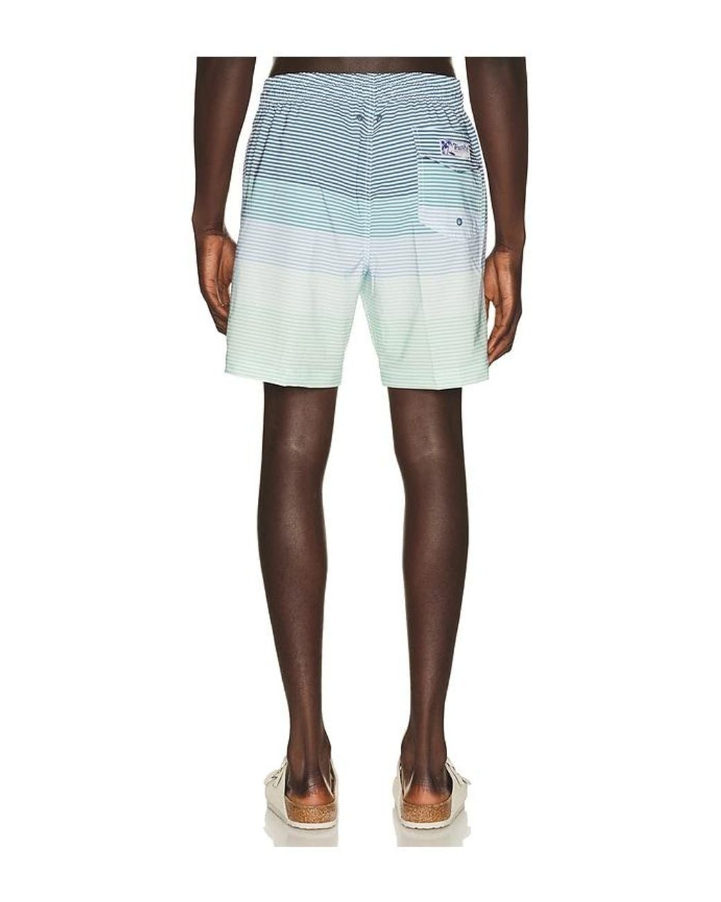 Trunks Surf & Swim Blue Sano 6.5 Swim Short for men