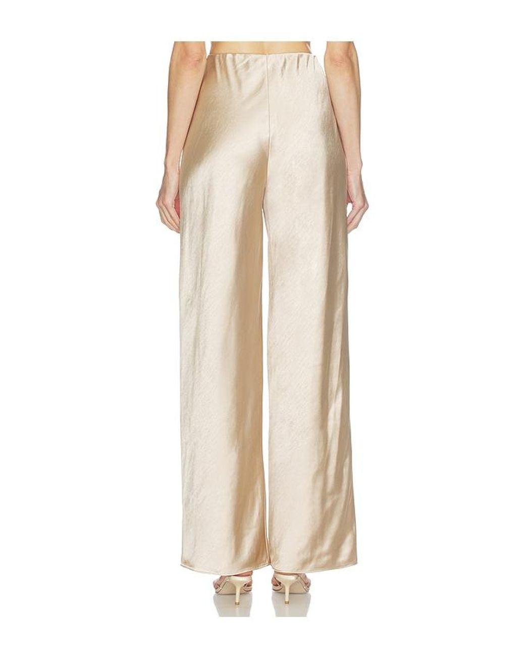 L'academie Natural Etienne Pant