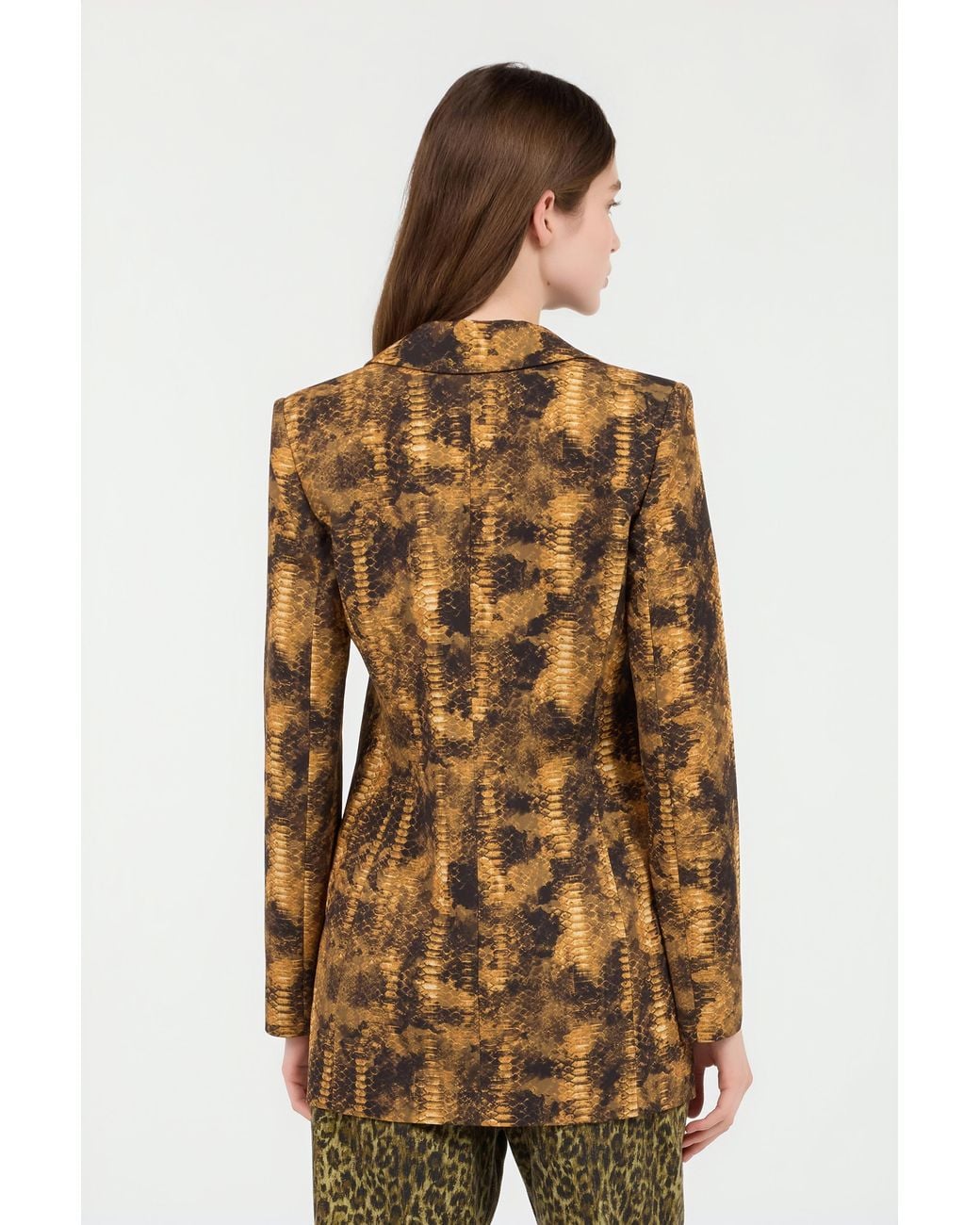 Roberto Cavalli Brown Python Print Jacket