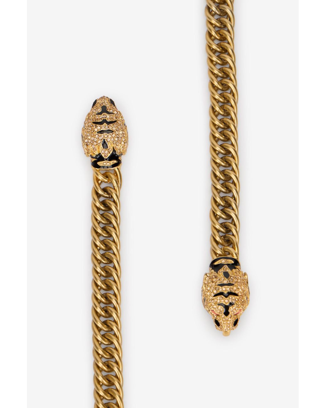 Roberto Cavalli Multicolor Roar Belt