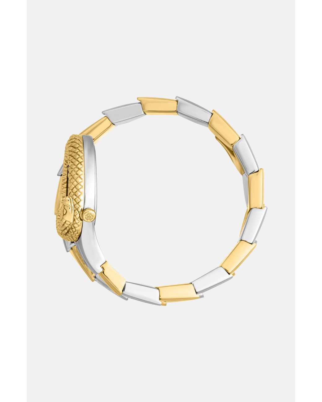 Roberto Cavalli Metallic By Franck Muller Signature Snake Watch