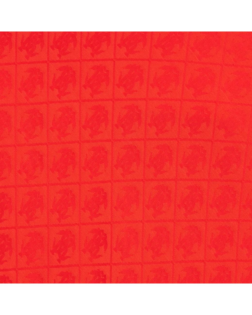 Roberto Cavalli Red Long Skirt With Jacquard Monogram Print