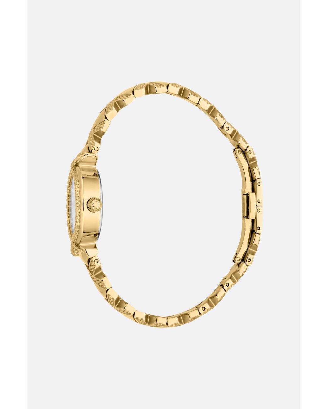 Roberto Cavalli Metallic By Franck Muller Snake Core Watch