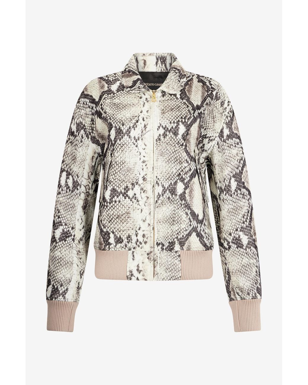 Roberto Cavalli Brown Jacket With Python Print