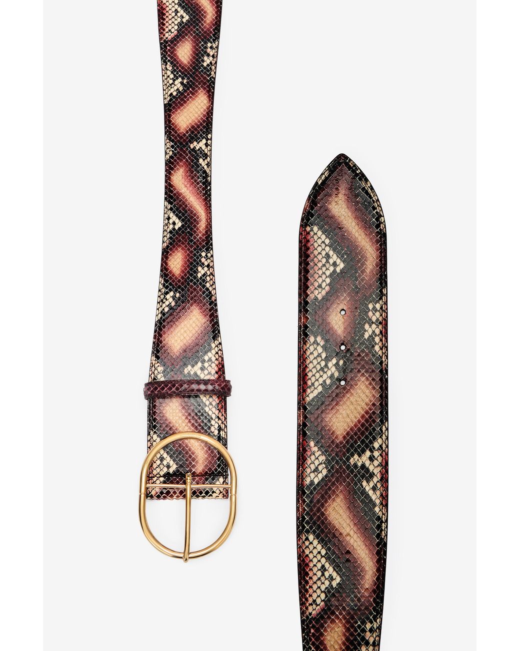 Roberto Cavalli Multicolor Shaped Belt