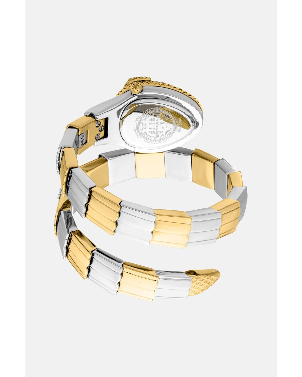 Roberto Cavalli Metallic By Franck Muller Signature Snake Watch