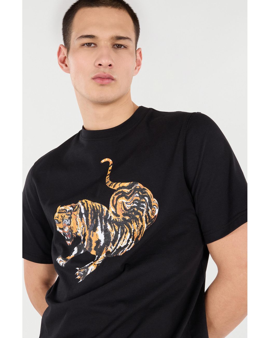 Roberto Cavalli Black Cotton T-Shirt With Tiger for men