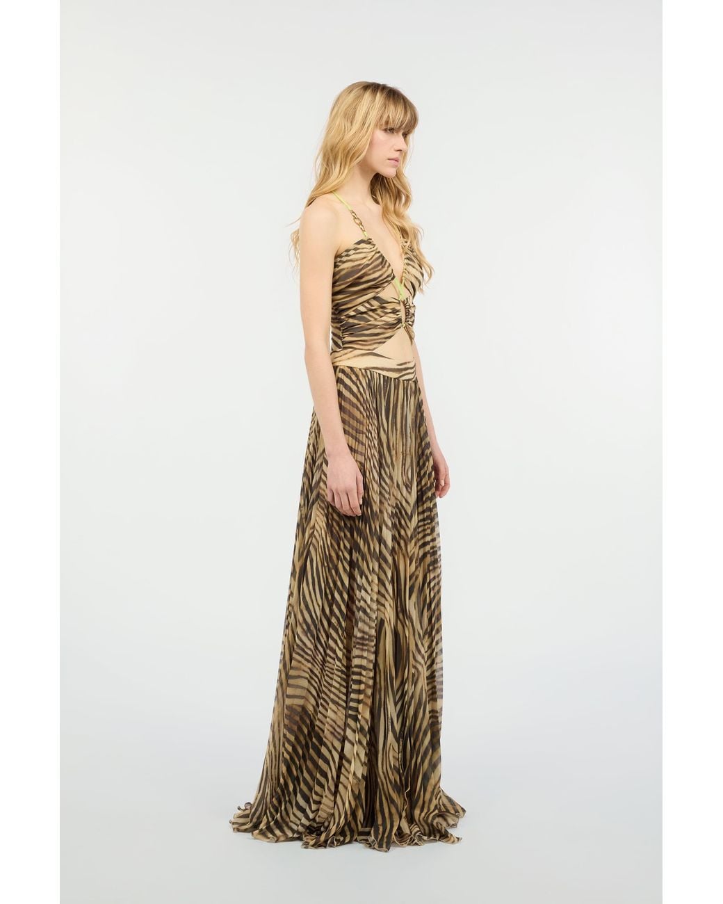Roberto Cavalli Natural Extra-Long Dress With Tiger Skin Print