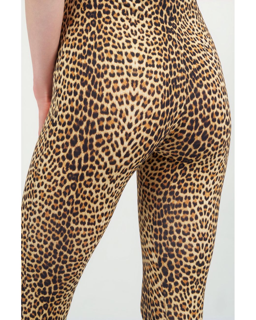 Roberto Cavalli Multicolor Jaguar Print Leggings
