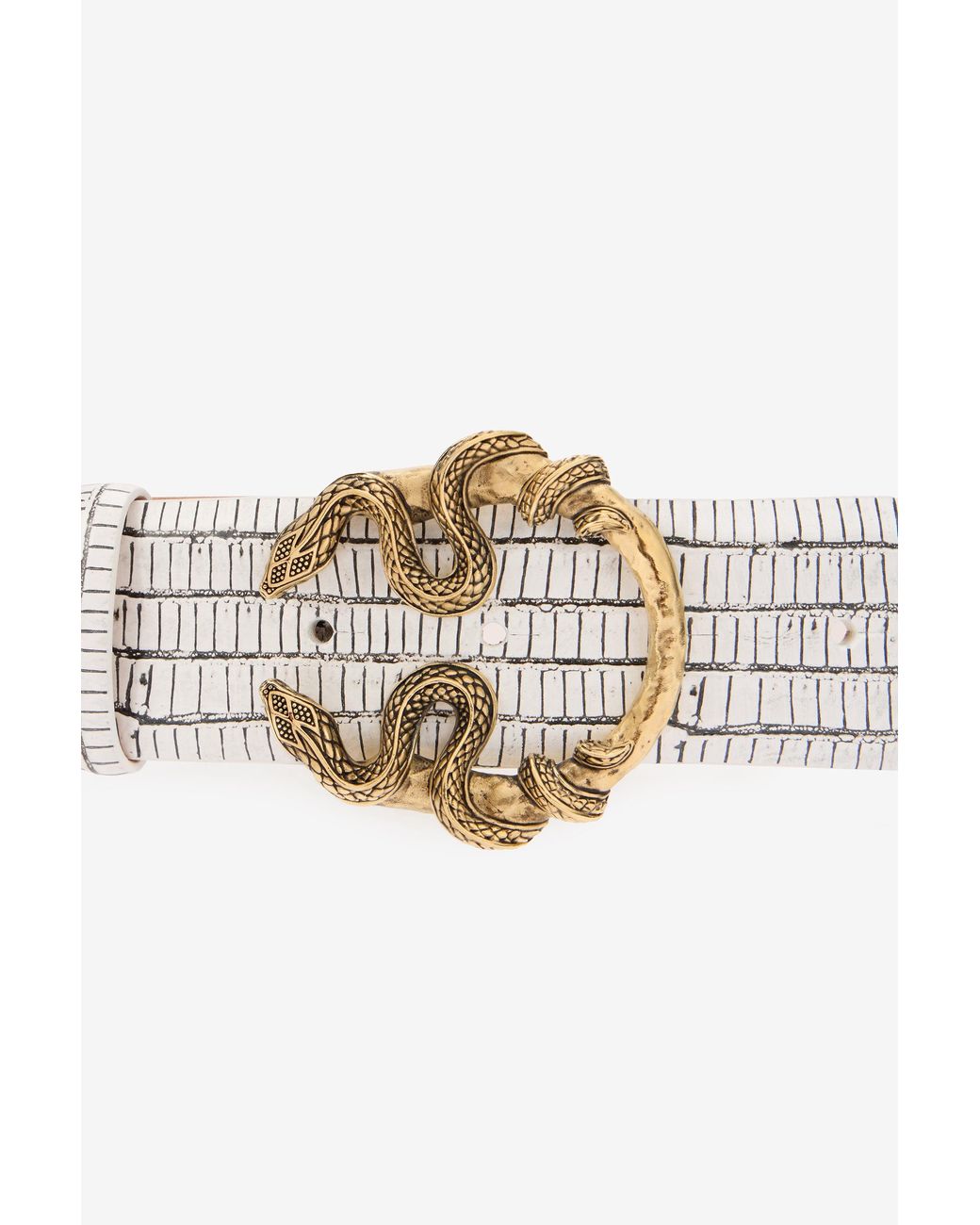 Roberto Cavalli Multicolor Leather Belt With Snake Buckle