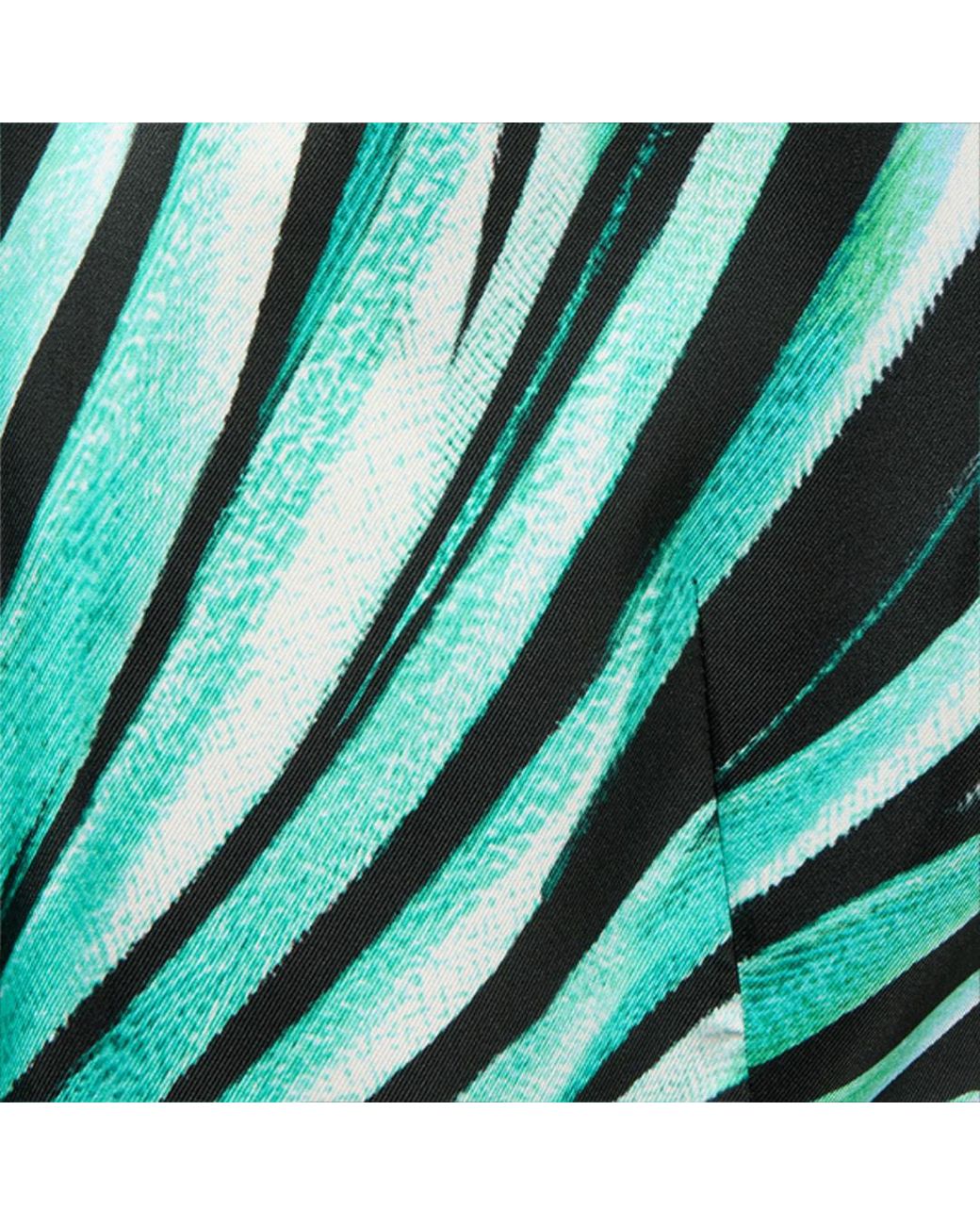 Roberto Cavalli Green Ray Of Sea Print Silk Jacket