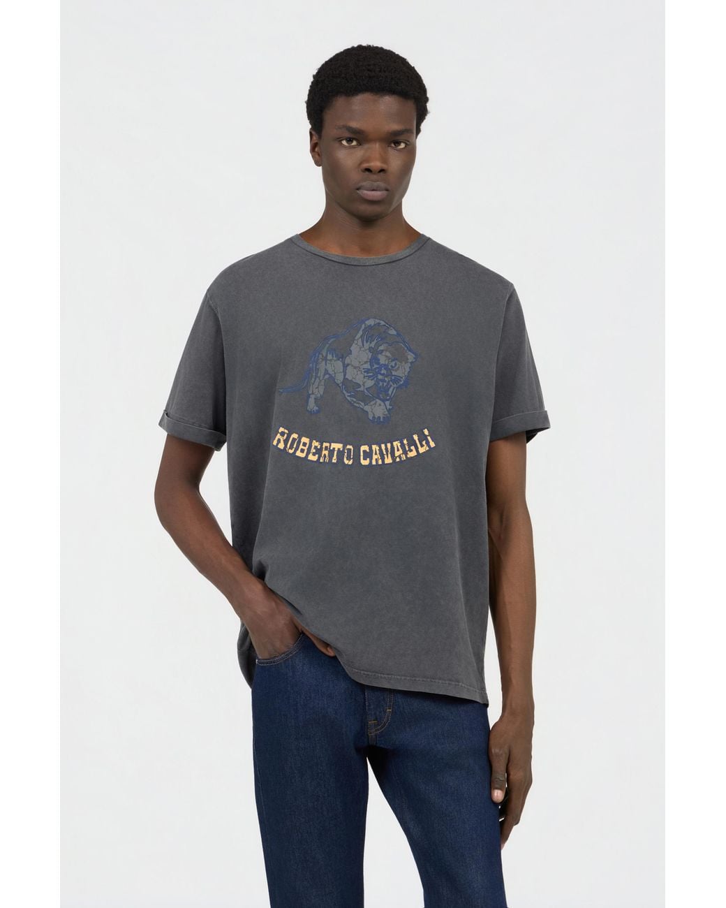 Roberto Cavalli Gray T-Shirt for men