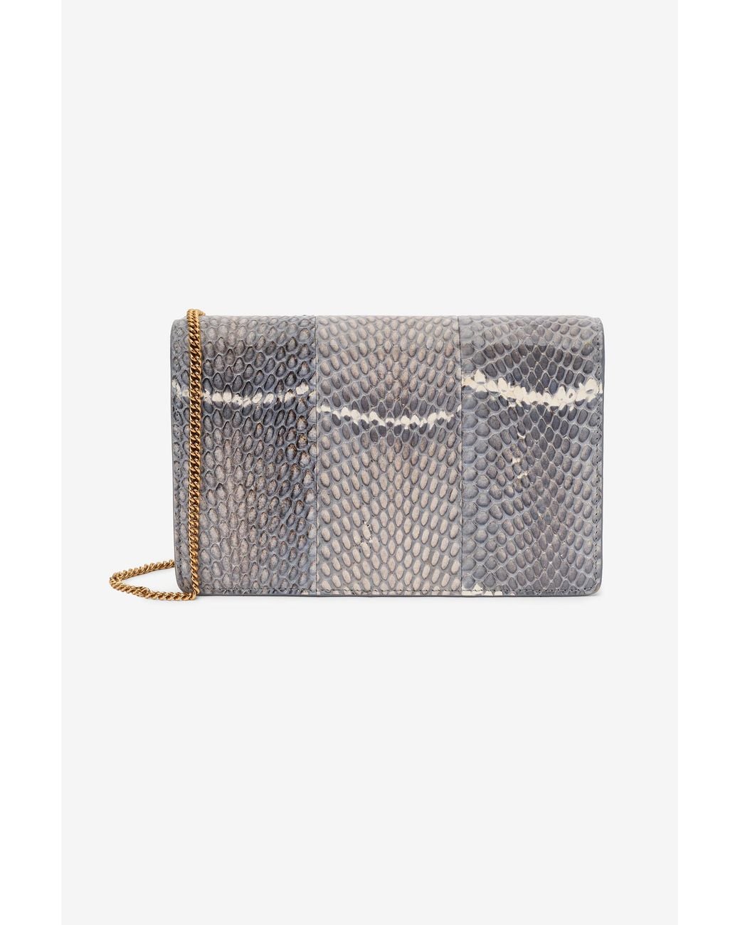 Borsa Serpentine di Roberto Cavalli in Gray