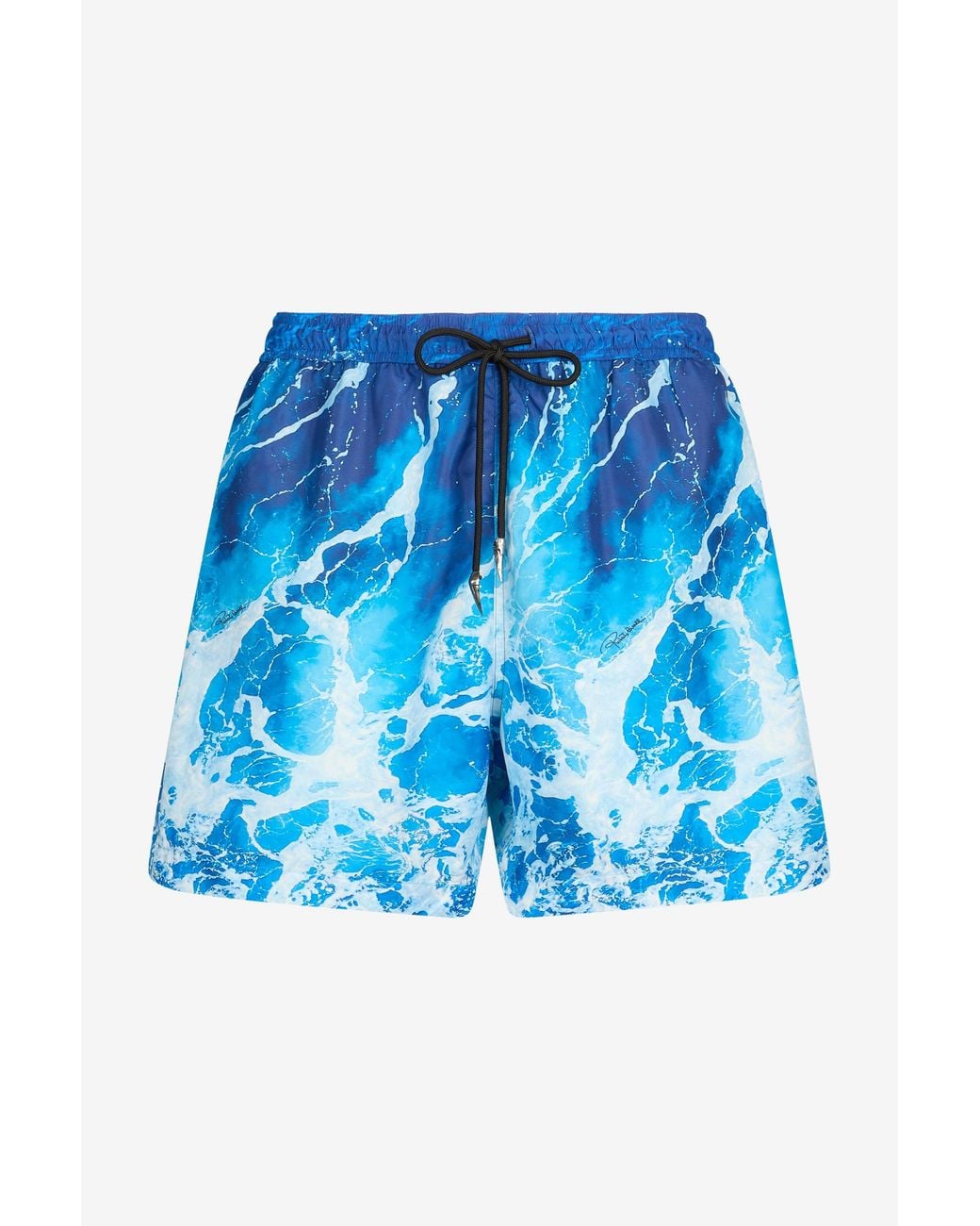 Roberto Cavalli Blue Swimsuit for men