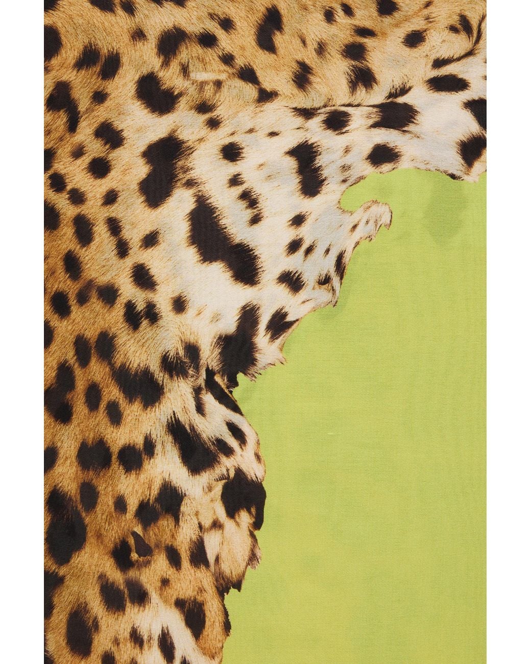 Roberto Cavalli Yellow Cavalli Pop Print Silk Stole