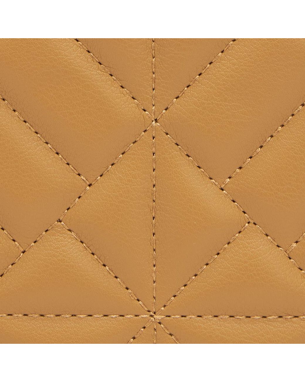 Roberto Cavalli Natural Bag With Cavalli Class Chain Shoulder Strap
