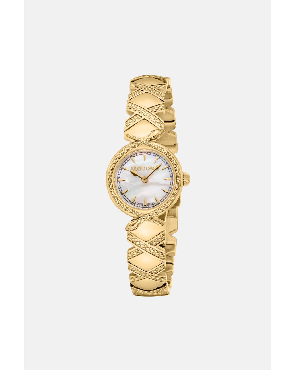 Roberto Cavalli Metallic By Franck Muller Snake Core Watch