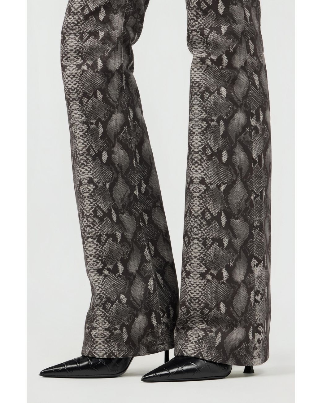 Jeans Stampa Python di Roberto Cavalli in Gray