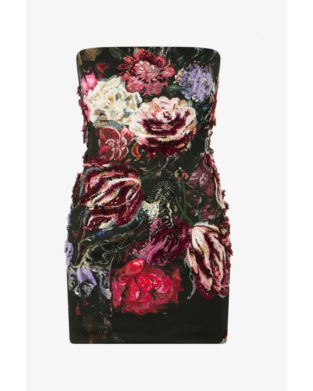 Roberto Cavalli Embroidered Mini Dress With Fiammingo Flowers Print
