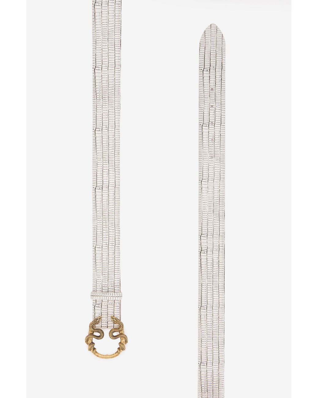 Roberto Cavalli Multicolor Leather Belt With Snake Buckle