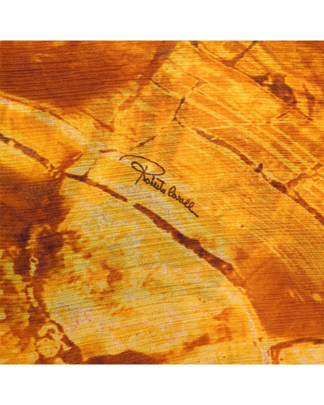 Roberto Cavalli Orange Stole With Amber Print