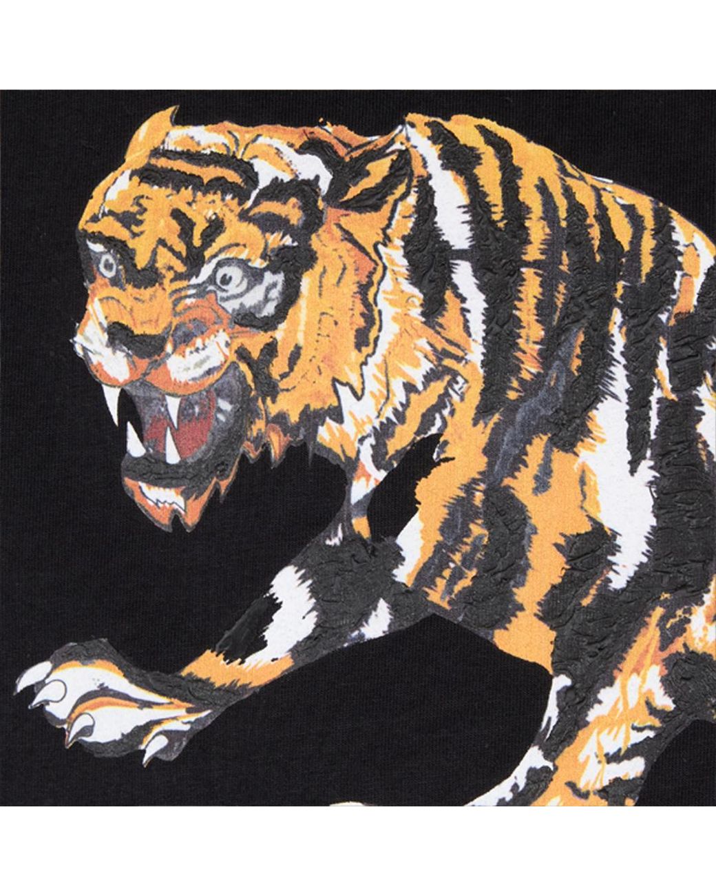 Roberto Cavalli Black Cotton T-Shirt With Tiger for men