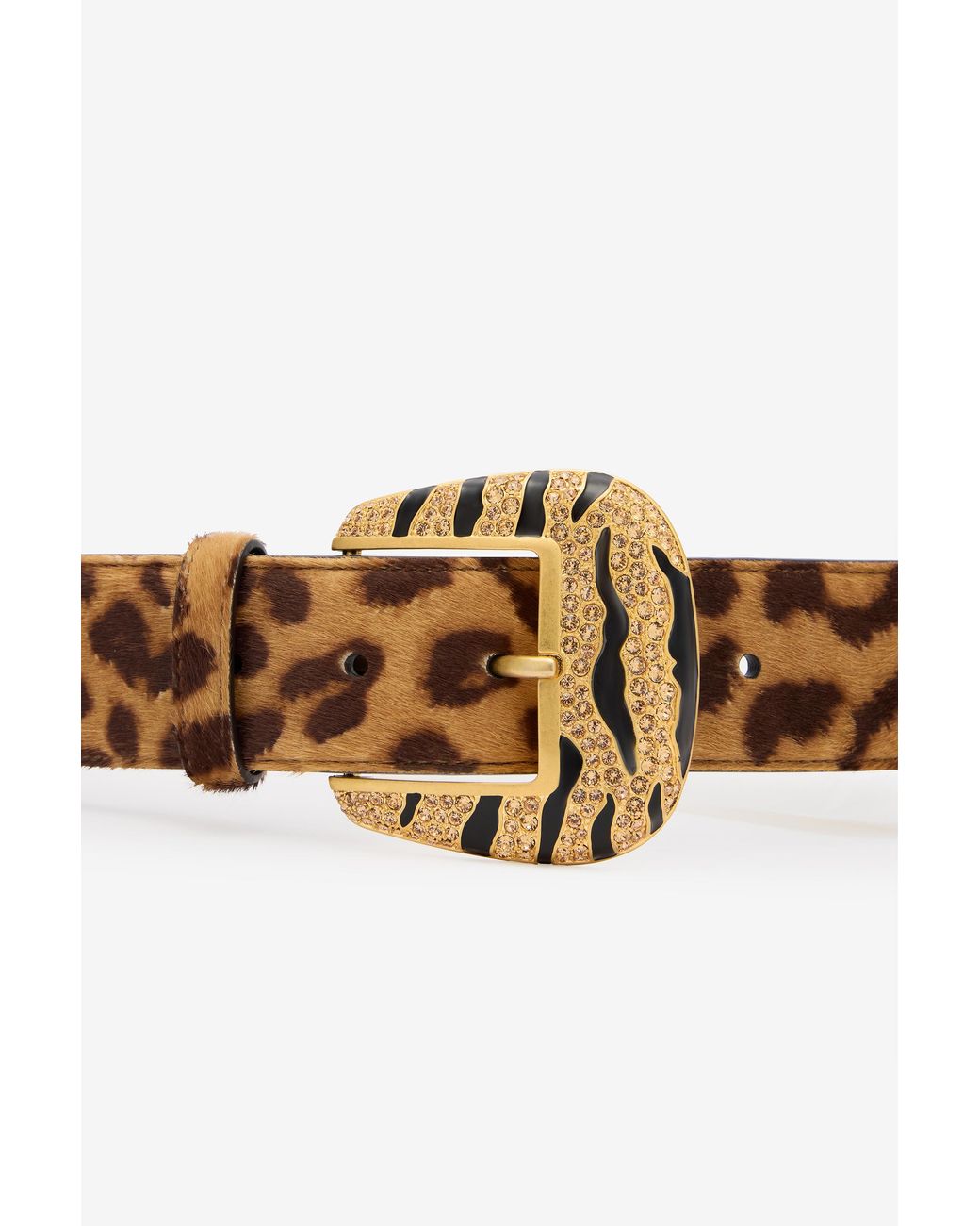Roberto Cavalli White Leopard Belt With Bejeweled Buckle
