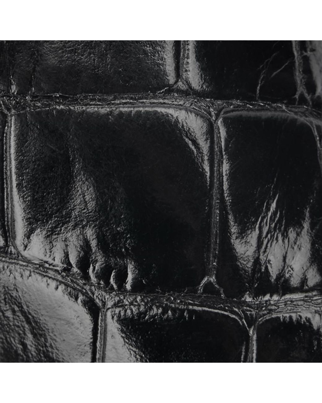 Roberto Cavalli Black Crocodile Scale-Effect Pumps